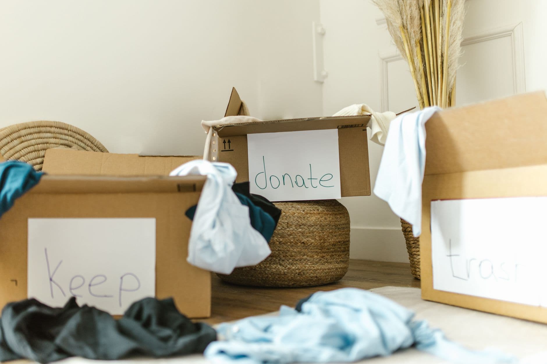 Cover image for Comparing Spring vs. Autumn Decluttering Strategies