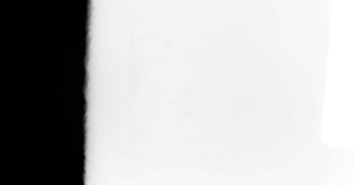 Cover Image for Cremation Services Guide: Costs, Options, and Tips