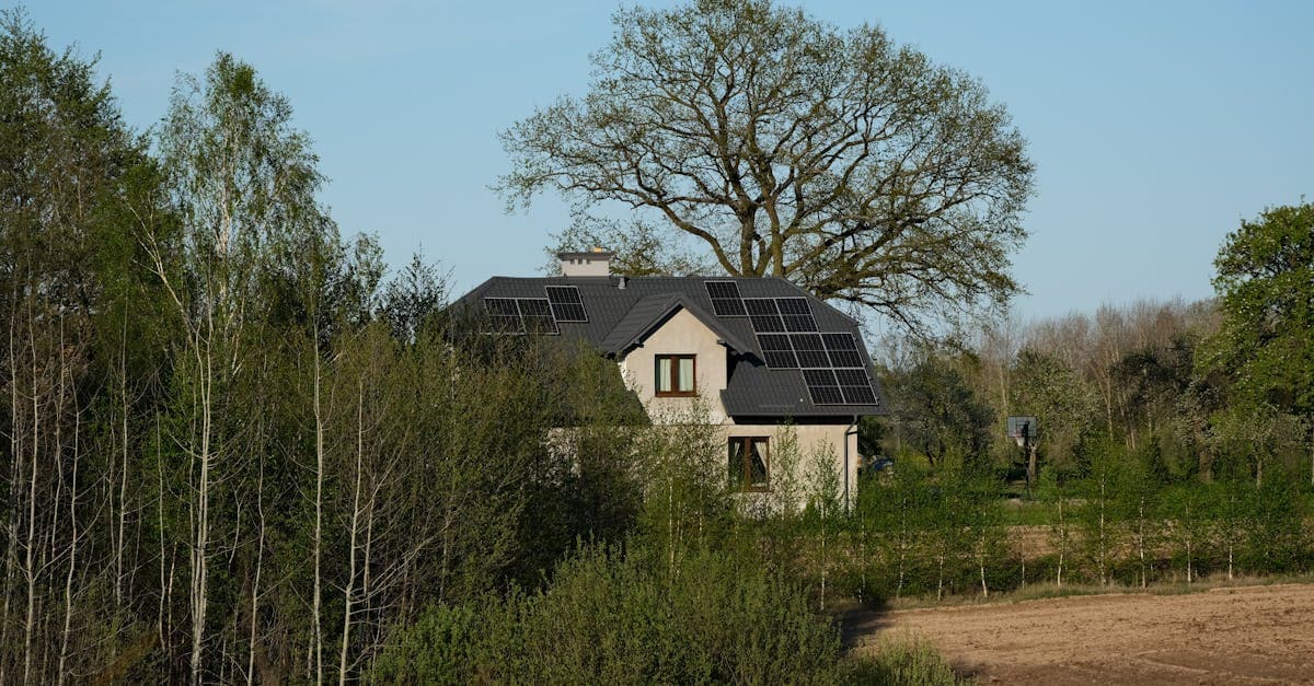 Cover Image for Eco House Buying Guide: 7 Smart Features to Compare