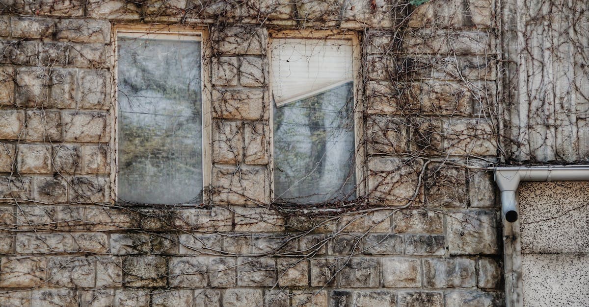 Cover Image for Transforming Fixer-Upper Homes: Unlocking Hidden Potential and Value