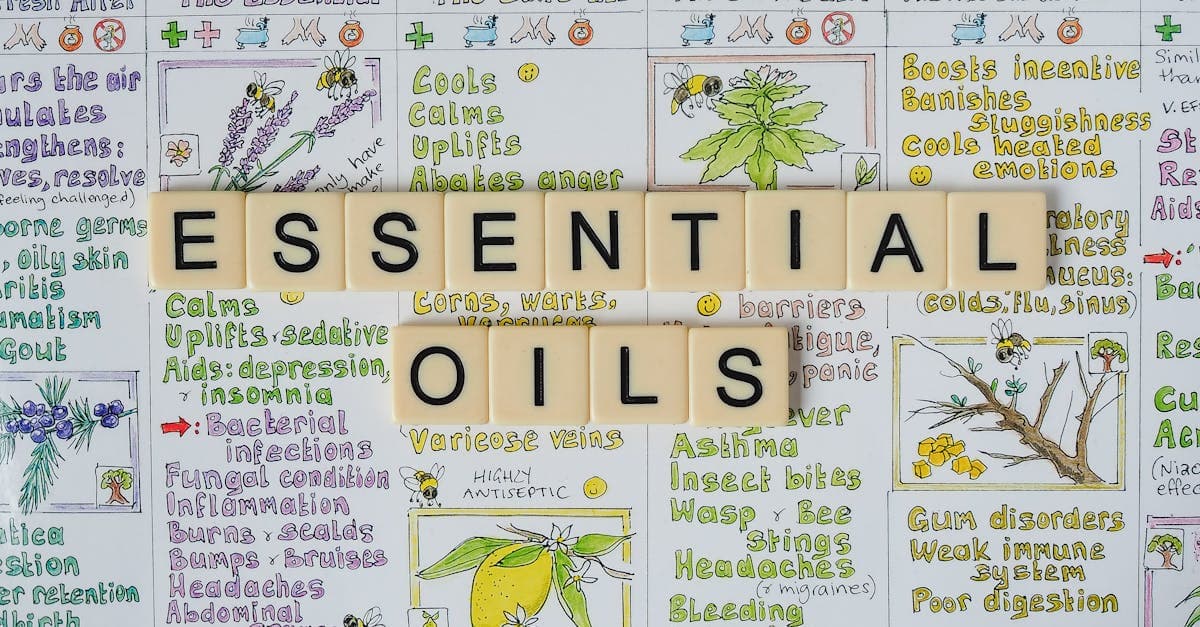 Cover Image for Medicare Benefits Guide: 7 Smart Choices to Compare