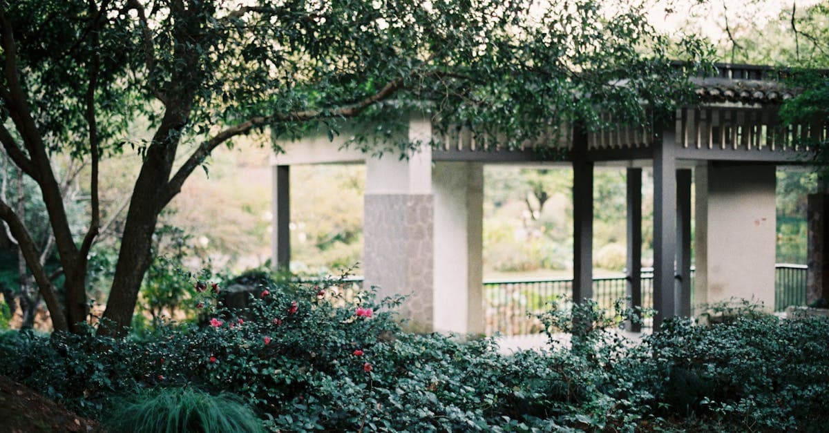 Cover Image for Pergola Pavilion Installation: 7 Smart Buying Tips