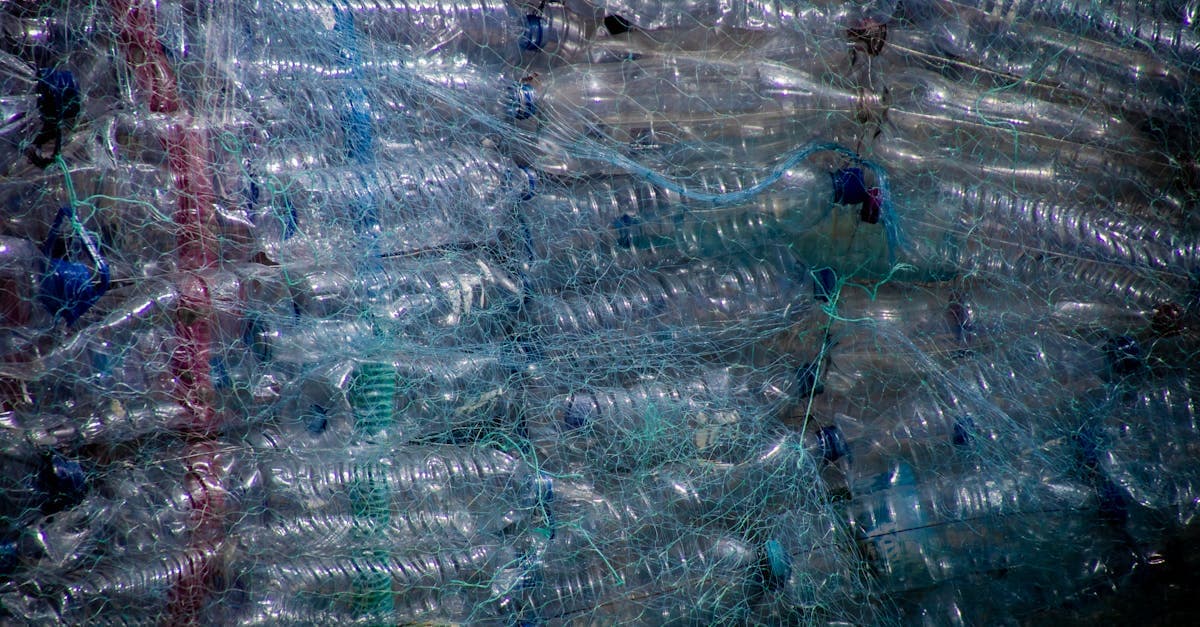 Cover Image for Plastic Recycling Guide: 7 Smart Ways to Reuse Waste