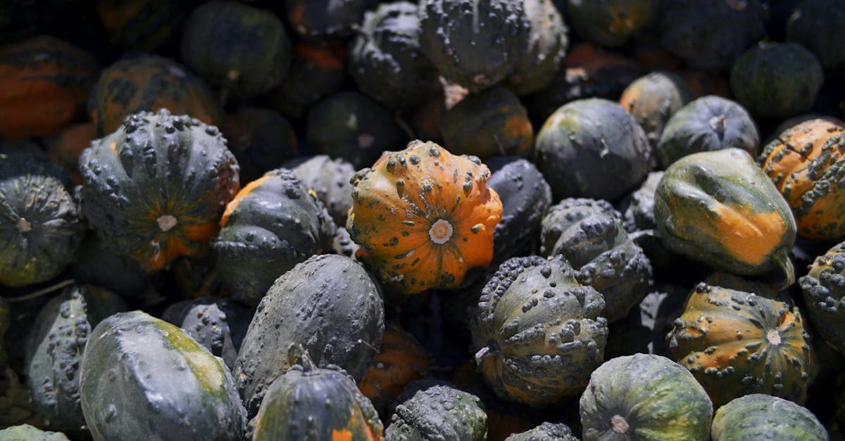 Cover Image for Warts Treatment Guide: Best Options for Clear Skin