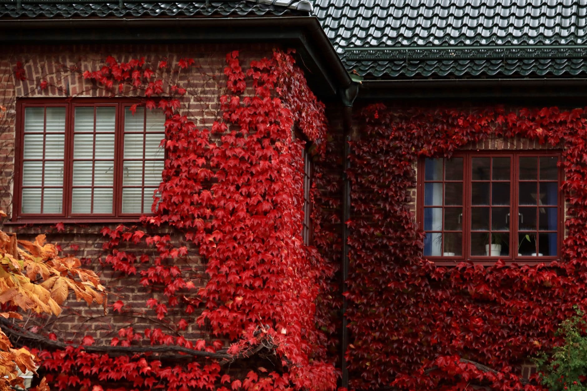 Cover image for What's the Best Way to Transition Your Home for Fall?